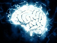 brain-1845962__340 200